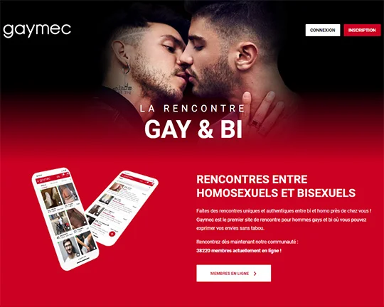 Gaymec Logo