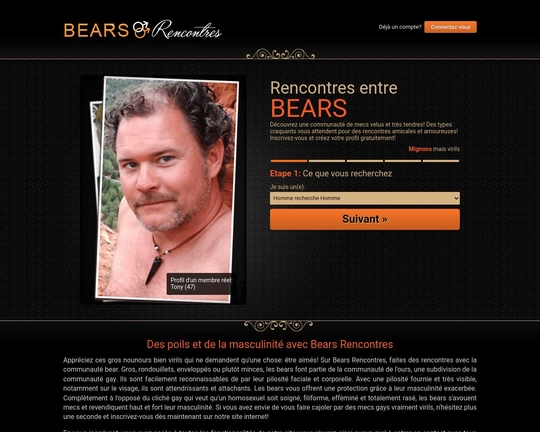 Bears Rencontres Logo